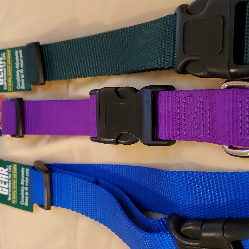 Dog collars set of 3 adjustable in blue, purple and green